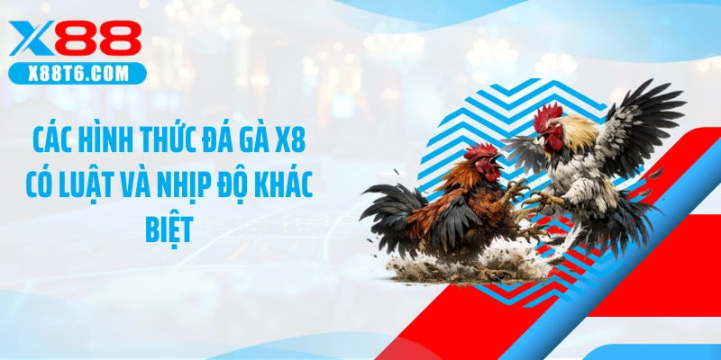 Các hình thức đá gà X8 có luật và nhịp độ khác biệt