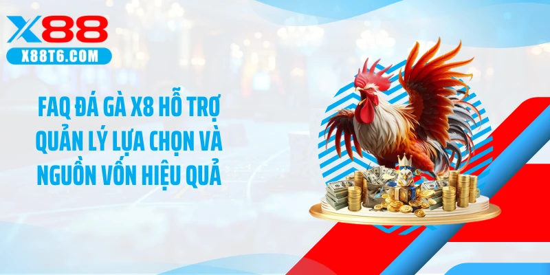 FAQ đá gà X8 hỗ trợ quản lý lựa chọn và nguồn vốn hiệu quả
